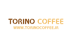 logo TORINO