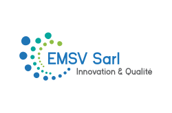 logo EMSV Sarl