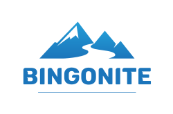 logo BingoNite