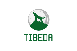 Tibeda