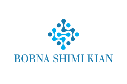 logo BORNA SHIMI KIAN