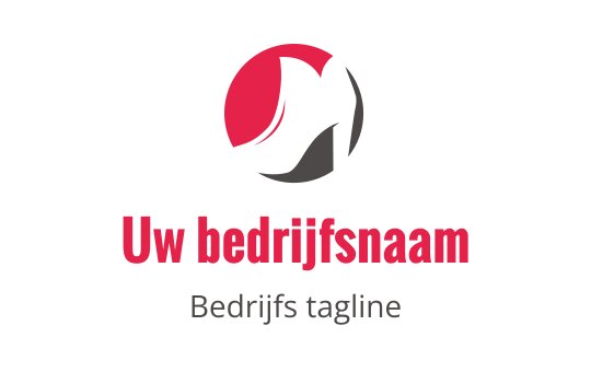 Schoen logo